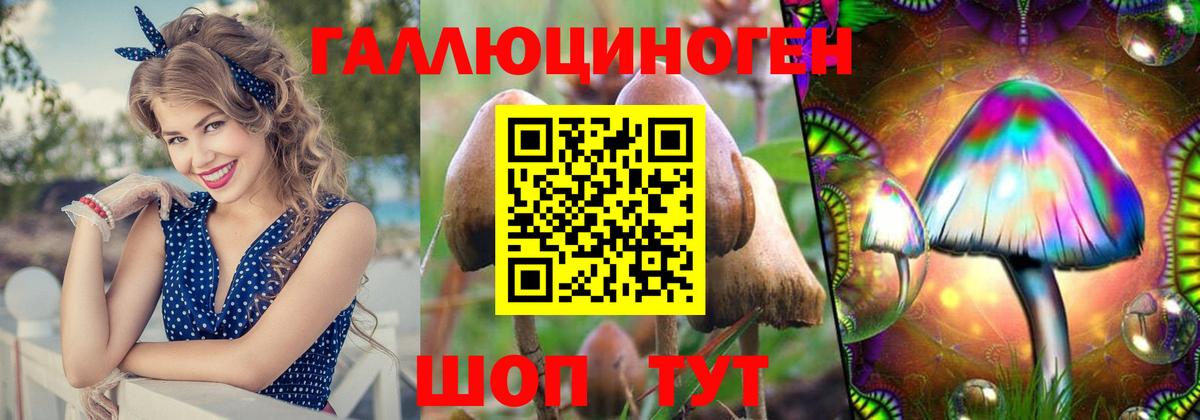 Галлюциногенные грибы GOLDEN TEACHER Казань