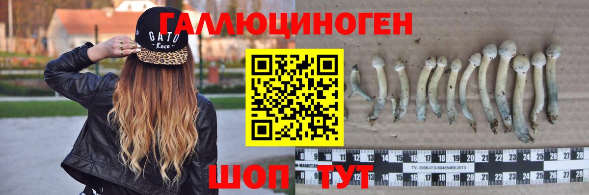 Казань  Псилоцибиновые грибы MAGIC MUSHROOMS  Галлюциногенные грибы мицелий  магазин    Вход с VPN 